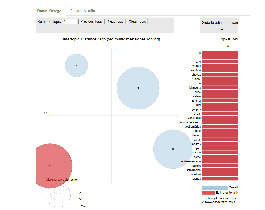 Topic Modelling results.